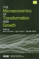 bokomslag The Microeconomics of Transformation and Growth