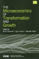 Horst Brezinski, Egon Franck, Michael Fritsch - Microeconomics of Transformation and Growth, Inbunden