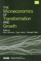 The Microeconomics of Transformation and Growth 1