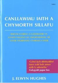 bokomslag Canllawiau Iaith a Chymorth Sillafu - Argraffiad Newydd
