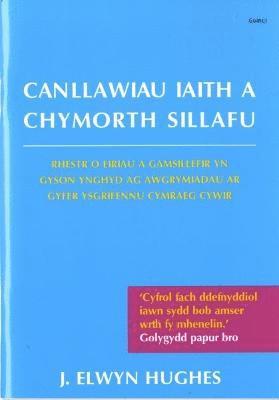 bokomslag Canllawiau Iaith a Chymorth Sillafu - Argraffiad Newydd