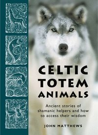 bokomslag Celtic Totem Animals