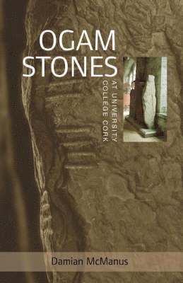 bokomslag Ogam Stones at University College Cork