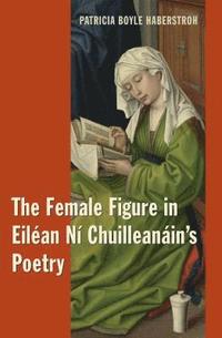 bokomslag The Female Figure in Eilean Ni Chuilleanain's Poetry