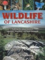 bokomslag Wildlife of Lancashire