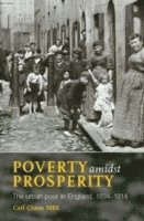 Carl Chinn - POVERTY AMIDST PROSPERITY REV/, Häftad
