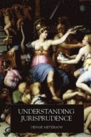 bokomslag Understanding Jurisprudence