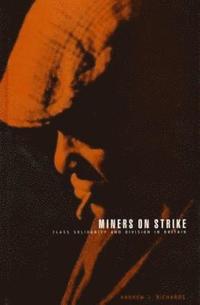 bokomslag Miners on Strike