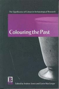 bokomslag Colouring the Past
