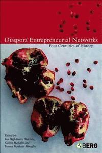 bokomslag Diaspora Entrepreneurial Networks