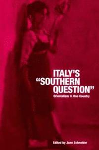 bokomslag Italy's 'Southern Question'