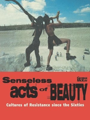 Senseless Acts of Beauty 1