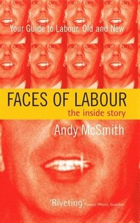 bokomslag Faces of Labour