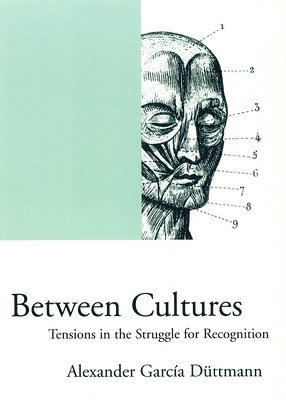 Between Cultures 1