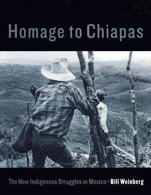 Homage to Chiapas 1