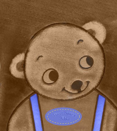 Sally Lloyd Jones - Tiny Bear Bible, Inbunden