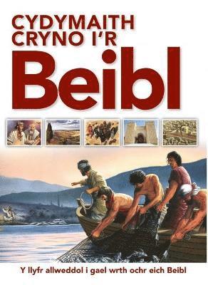 Terry Jean Day, Carol Smith, Tim Dowley - Cydymaith Cryno i'r Beibl, Häftad