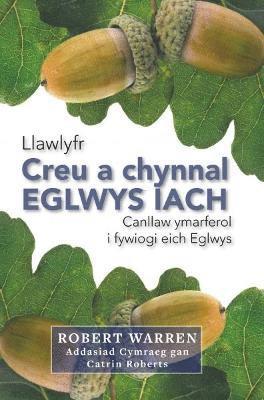 bokomslag Creu a Chynnal Eglwys Iach