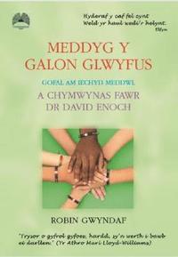 bokomslag Meddyg y Galon Glwyfus - Gofal am Iechyd Meddwl a Chymwynas Fawr Dr David Enoch