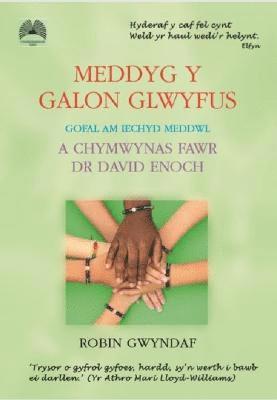 bokomslag Meddyg y Galon Glwyfus - Gofal am Iechyd Meddwl a Chymwynas Fawr Dr David Enoch
