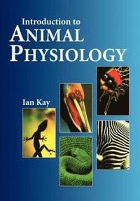 bokomslag Introduction to Animal Physiology