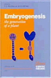 bokomslag Embryogenesis