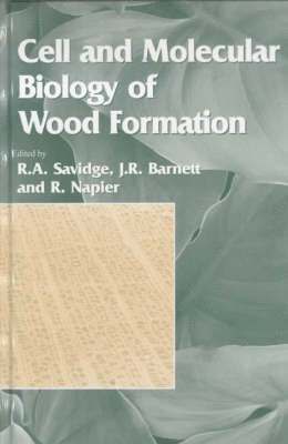 bokomslag Cell and Molecular Biology of Wood Formation