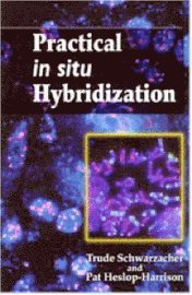 bokomslag Practical In Situ Hybridization