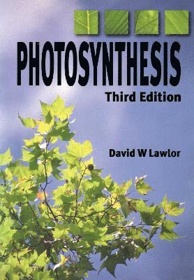 Photosynthesis 1