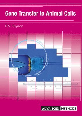 bokomslag Gene Transfer to Animal Cells