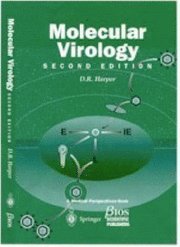 bokomslag Molecular Virology