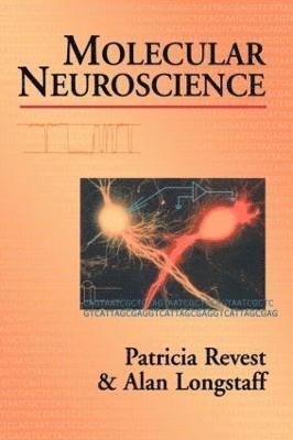 Molecular Neuroscience 1