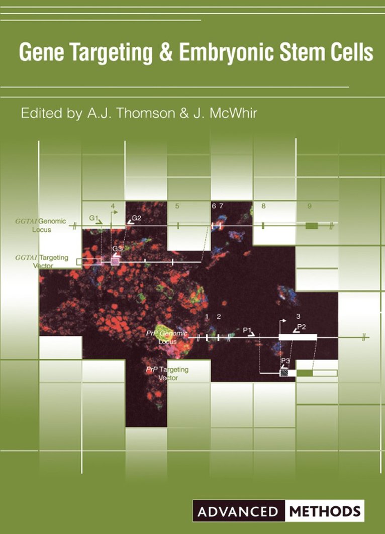 Gene Targeting and Embryonic Stem Cells