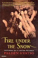 bokomslag Fire Under The Snow