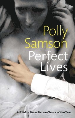 bokomslag Perfect Lives