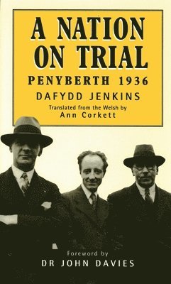 Dafydd Jenkins, Jenkins Dafydd - Nation on Trial, Inbunden