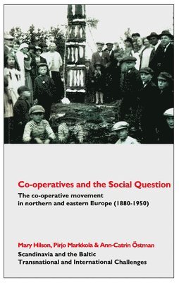 bokomslag Co-operatives and the Social Question