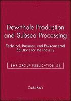 bokomslag Downhole Production and Subsea Processing