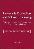 Downhole Production and Subsea Processing 1