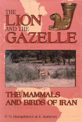 The Lion and the Gazelle 1