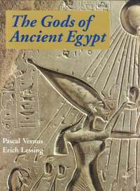 bokomslag The Gods of Ancient Egypt