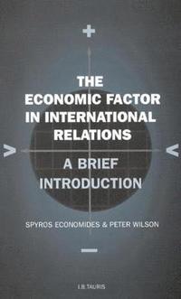 bokomslag The Economic Factor in International Relations: v. 19