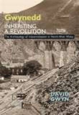 bokomslag Gwynedd, Inheriting a Revolution