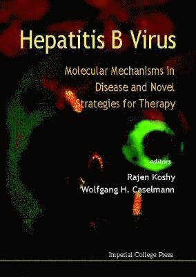 bokomslag Hepatitis B Virus: Molecular Mechanisms In Disease And Novel Strategies For Therapy