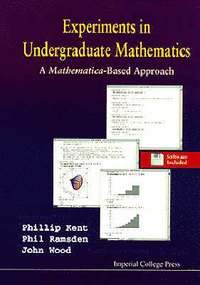 bokomslag Experiments In Undergraduate Mathematics: A Mathematica-based Approach