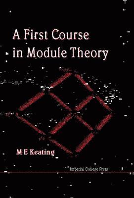 bokomslag First Course In Module Theory, A