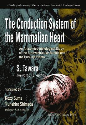 bokomslag Conduction System Of The Mammalian Heart, The: An Anatomico-histological Study Of The Atrioventricular Bundle And The Purkinje Fibers