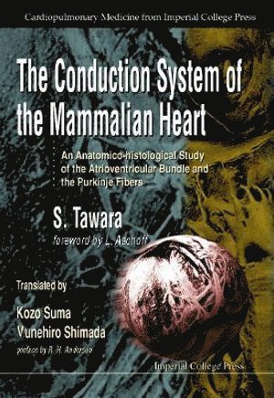 Sunao Tawara, TAWARA S, Tawara S - Conduction System Of The Mammalian Heart, The: An Anatomico-histological Study Of The Atrioventricular Bundle And The Purkinje Fibers, Inbunden
