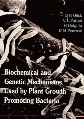 Biochemical And Genetic Mechanisms Used By Plant Growth Promoting Bacteria 1