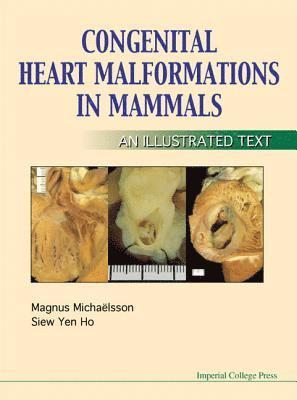 Congenital Heart Malformations In Mammals 1